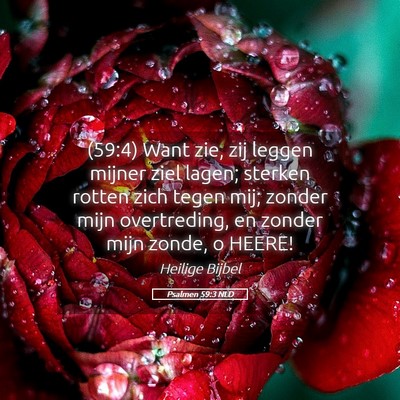 Picture 05 - Psalmen 59:3 NLD - (59:4) Want zie, zij leggen mijner ziel lagen; - Bible Verse Picture