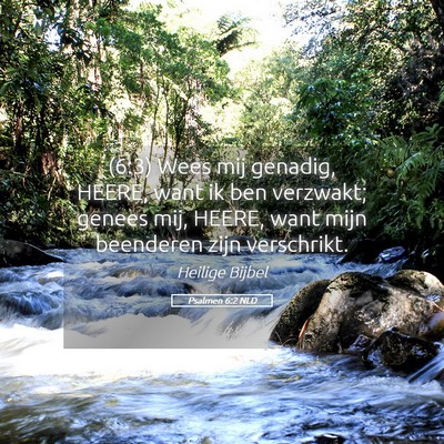Picture 05 - Psalmen 6:2 NLD - (6:3) Wees mij genadig, HEERE, want ik ben - Bible Verse Picture