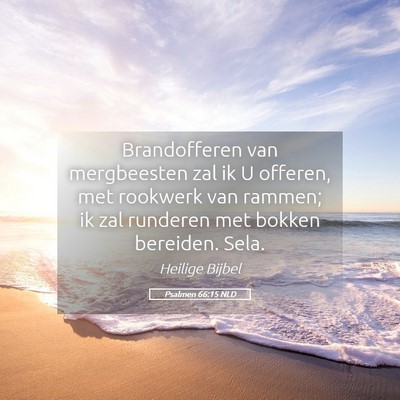 Picture 05 - Psalmen 66:15 NLD - Brandofferen van mergbeesten zal ik U offeren, - Bible Verse Picture