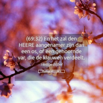 Picture 05 - Psalmen 69:31 NLD - (69:32) En het zal den HEERE aangenamer zijn dan - Bible Verse Picture