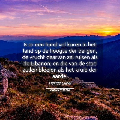Picture 05 - Psalmen 72:16 NLD - Is er een hand vol koren in het land op de hoogte - Bible Verse Picture