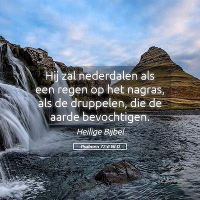 Picture 05 - Psalmen 72:6 NLD - Hij zal nederdalen als een regen op het nagras, - Bible Verse Picture