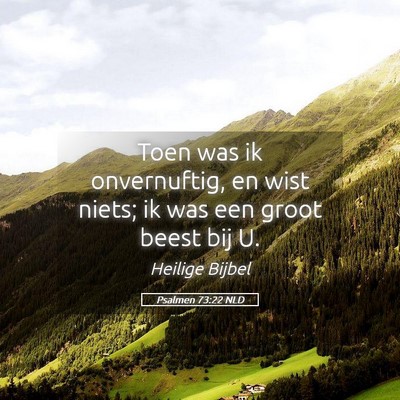 Picture 05 - Psalmen 73:22 NLD - Toen was ik onvernuftig, en wist niets; ik was - Bible Verse Picture