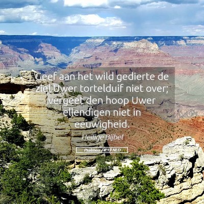 Picture 05 - Psalmen 74:19 NLD - Geef aan het wild gedierte de ziel Uwer - Bible Verse Picture