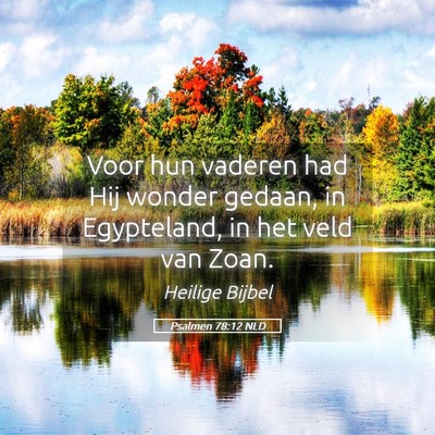 Picture 05 - Psalmen 78:12 NLD - Voor hun vaderen had Hij wonder gedaan, in - Bible Verse Picture