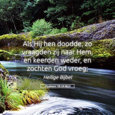 Picture 05 - Psalmen 78:34 NLD - Als Hij hen doodde, zo vraagden zij naar Hem, en - Bible Verse Picture