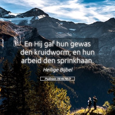 Picture 05 - Psalmen 78:46 NLD - En Hij gaf hun gewas den kruidworm, en hun arbeid - Bible Verse Picture