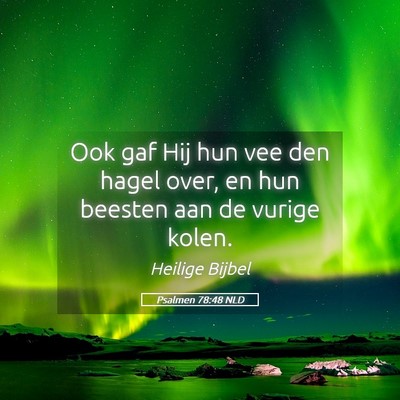 Picture 05 - Psalmen 78:48 NLD - Ook gaf Hij hun vee den hagel over, en hun - Bible Verse Picture