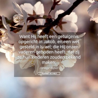 Picture 05 - Psalmen 78:5 NLD - Want Hij heeft een getuigenis opgericht in Jakob, - Bible Verse Picture