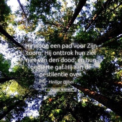 Picture 05 - Psalmen 78:50 NLD - Hij woog een pad voor Zijn toorn; Hij onttrok hun - Bible Verse Picture