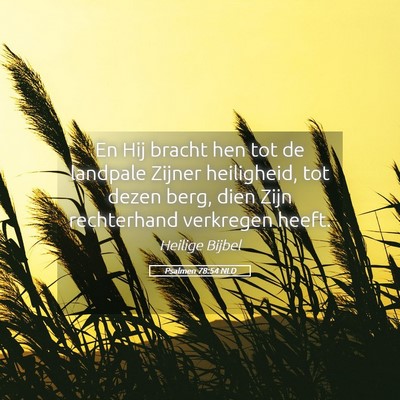 Picture 05 - Psalmen 78:54 NLD - En Hij bracht hen tot de landpale Zijner - Bible Verse Picture