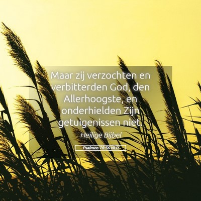 Picture 05 - Psalmen 78:56 NLD - Maar zij verzochten en verbitterden God, den - Bible Verse Picture
