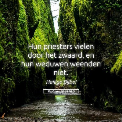 Picture 05 - Psalmen 78:64 NLD - Hun priesters vielen door het zwaard, en hun - Bible Verse Picture