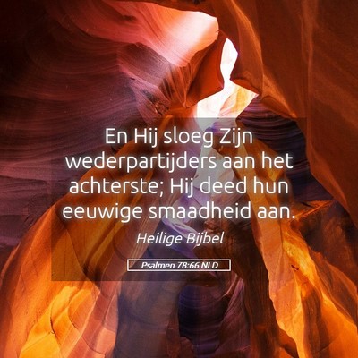 Picture 05 - Psalmen 78:66 NLD - En Hij sloeg Zijn wederpartijders aan het - Bible Verse Picture