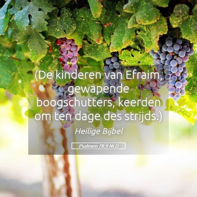 Picture 05 - Psalmen 78:9 NLD - (De kinderen van Efraim, gewapende boogschutters, - Bible Verse Picture