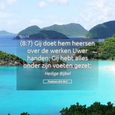 Picture 05 - Psalmen 8:6 NLD - (8:7) Gij doet hem heersen over de werken Uwer - Bible Verse Picture