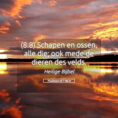 Picture 05 - Psalmen 8:7 NLD - (8:8) Schapen en ossen, alle die; ook mede de - Bible Verse Picture