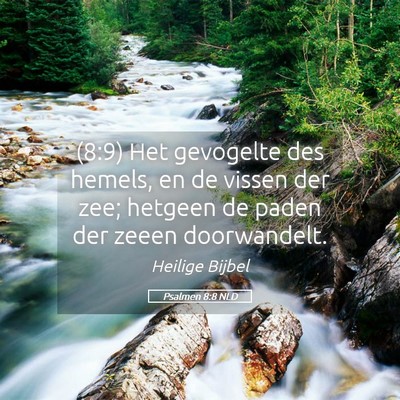 Picture 05 - Psalmen 8:8 NLD - (8:9) Het gevogelte des hemels, en de vissen der - Bible Verse Picture