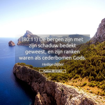 Picture 05 - Psalmen 80:10 NLD - (80:11) De bergen zijn met zijn schaduw bedekt - Bible Verse Picture