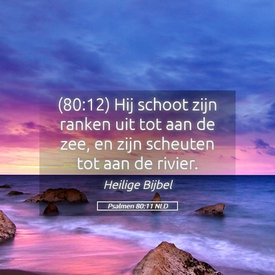 Picture 05 - Psalmen 80:11 NLD - (80:12) Hij schoot zijn ranken uit tot aan de - Bible Verse Picture