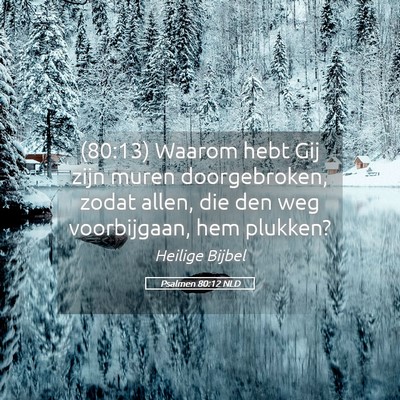 Picture 05 - Psalmen 80:12 NLD - (80:13) Waarom hebt Gij zijn muren doorgebroken, - Bible Verse Picture