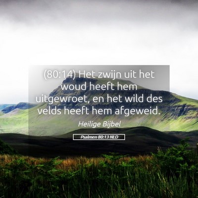 Picture 05 - Psalmen 80:13 NLD - (80:14) Het zwijn uit het woud heeft hem - Bible Verse Picture