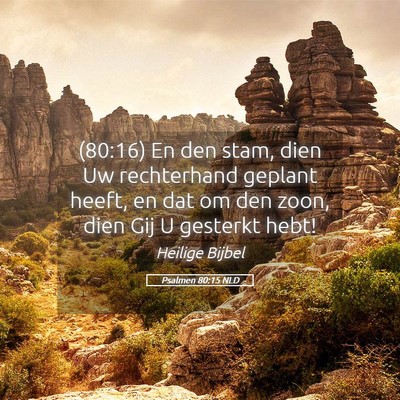 Picture 05 - Psalmen 80:15 NLD - (80:16) En den stam, dien Uw rechterhand geplant - Bible Verse Picture