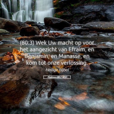 Picture 05 - Psalmen 80:2 NLD - (80:3) Wek Uw macht op voor het aangezicht van - Bible Verse Picture