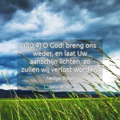 Picture 05 - Psalmen 80:3 NLD - (80:4) O God! breng ons weder, en laat Uw - Bible Verse Picture
