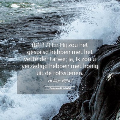 Picture 05 - Psalmen 81:16 NLD - (81:17) En Hij zou het gespijsd hebben met het - Bible Verse Picture