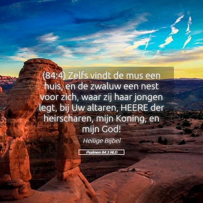 Picture 05 - Psalmen 84:3 NLD - (84:4) Zelfs vindt de mus een huis, en de zwaluw - Bible Verse Picture