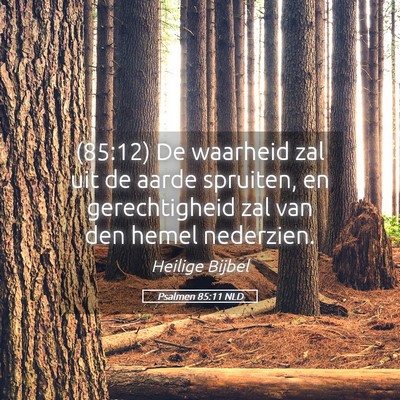 Picture 05 - Psalmen 85:11 NLD - (85:12) De waarheid zal uit de aarde spruiten, en - Bible Verse Picture