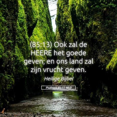 Picture 05 - Psalmen 85:12 NLD - (85:13) Ook zal de HEERE het goede geven; en ons - Bible Verse Picture