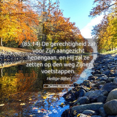 Picture 05 - Psalmen 85:13 NLD - (85:14) De gerechtigheid zal voor Zijn aangezicht - Bible Verse Picture