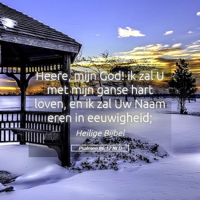 Picture 05 - Psalmen 86:12 NLD - Heere, mijn God! ik zal U met mijn ganse hart - Bible Verse Picture