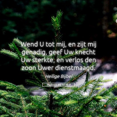 Picture 05 - Psalmen 86:16 NLD - Wend U tot mij, en zijt mij genadig, geef Uw - Bible Verse Picture