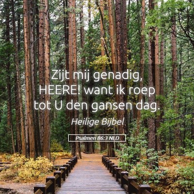 Picture 05 - Psalmen 86:3 NLD - Zijt mij genadig, HEERE! want ik roep tot U den - Bible Verse Picture