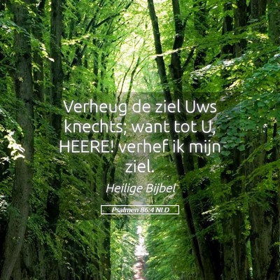 Picture 05 - Psalmen 86:4 NLD - Verheug de ziel Uws knechts; want tot U, HEERE! - Bible Verse Picture