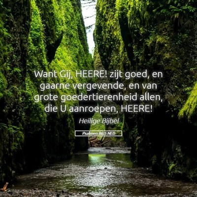 Picture 05 - Psalmen 86:5 NLD - Want Gij, HEERE! zijt goed, en gaarne vergevende, - Bible Verse Picture