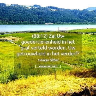 Picture 05 - Psalmen 88:11 NLD - (88:12) Zal Uw goedertierenheid in het graf - Bible Verse Picture