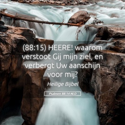 Picture 05 - Psalmen 88:14 NLD - (88:15) HEERE! waarom verstoot Gij mijn ziel, en - Bible Verse Picture