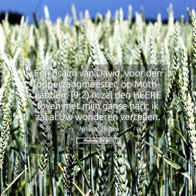 Picture 05 - Psalmen 9:1 NLD - Een psalm van David, voor den opperzangmeester, - Bible Verse Picture