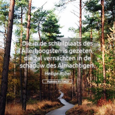Picture 05 - Psalmen 91:1 NLD - Die in de schuilplaats des Allerhoogsten is - Bible Verse Picture