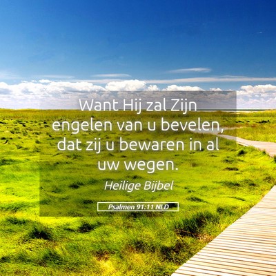 Picture 05 - Psalmen 91:11 NLD - Want Hij zal Zijn engelen van u bevelen, dat zij - Bible Verse Picture