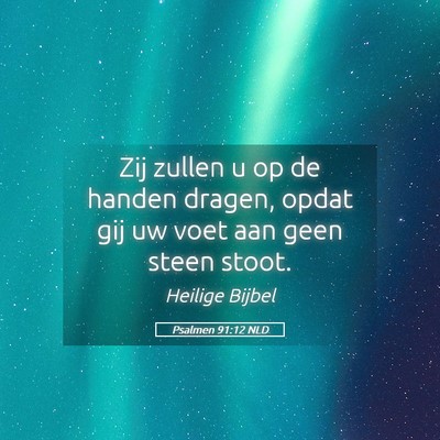 Picture 05 - Psalmen 91:12 NLD - Zij zullen u op de handen dragen, opdat gij uw - Bible Verse Picture