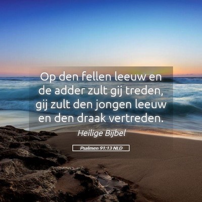 Picture 05 - Psalmen 91:13 NLD - Op den fellen leeuw en de adder zult gij treden, - Bible Verse Picture