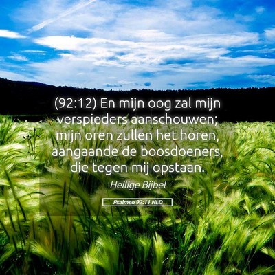 Picture 05 - Psalmen 92:11 NLD - (92:12) En mijn oog zal mijn verspieders - Bible Verse Picture