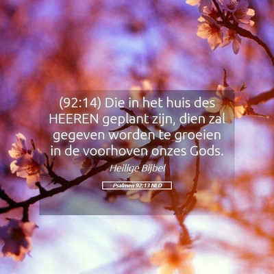 Picture 05 - Psalmen 92:13 NLD - (92:14) Die in het huis des HEEREN geplant zijn, - Bible Verse Picture
