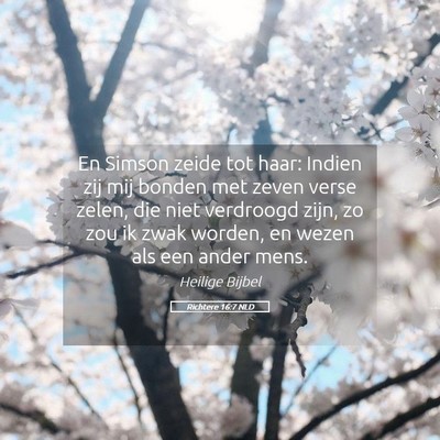 Picture 05 - Richtere 16:7 NLD - En Simson zeide tot haar: Indien zij mij bonden - Bible Verse Picture