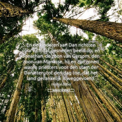 Picture 05 - Richtere 18:30 NLD - En de kinderen van Dan richtten voor zich dat - Bible Verse Picture